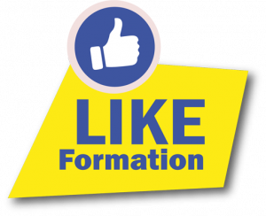 2 - Logo_Like_Formation PNG01